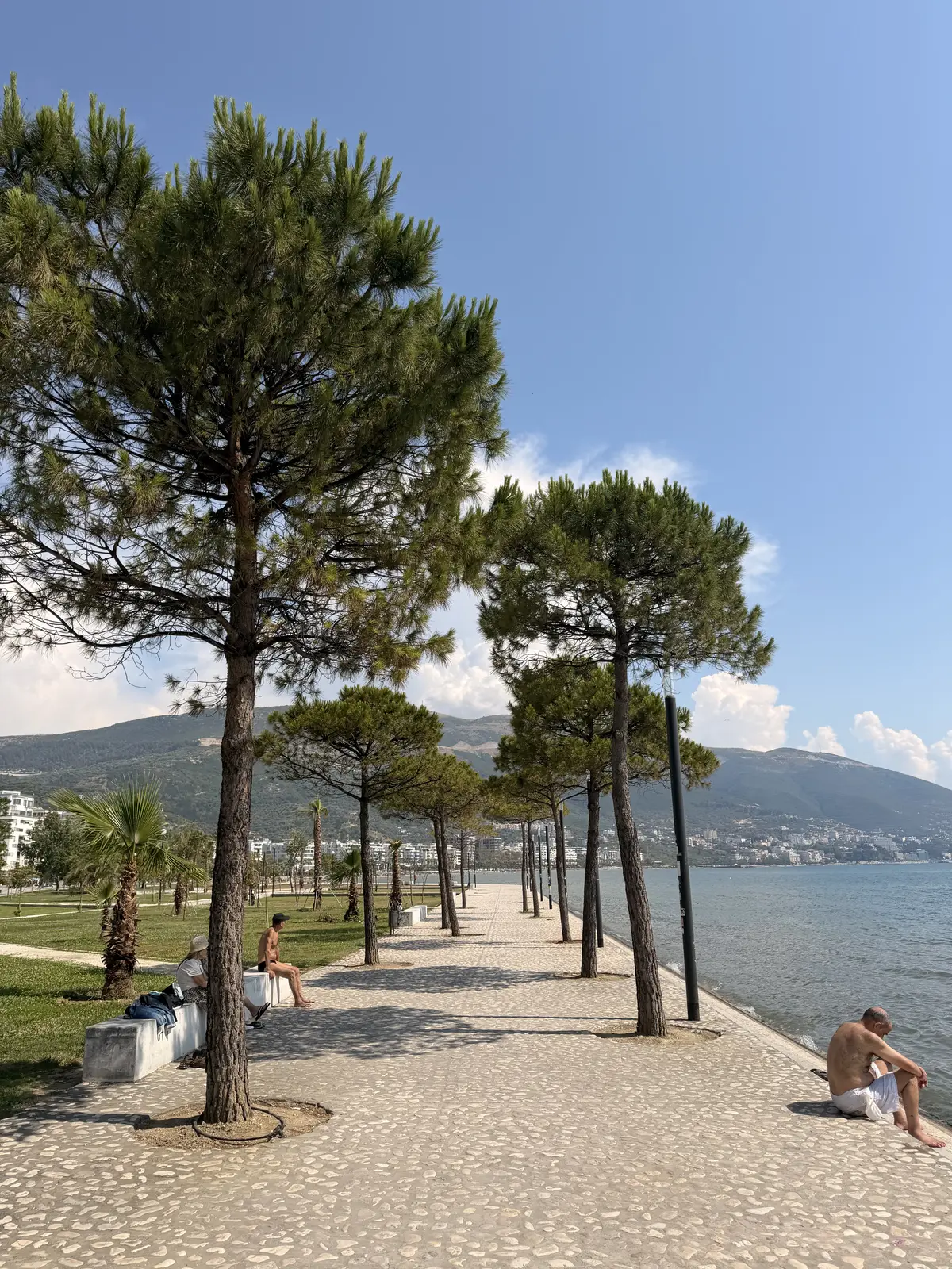 A wide pine-lined seafront promenade in Vlore with people walking and sitting on benches.