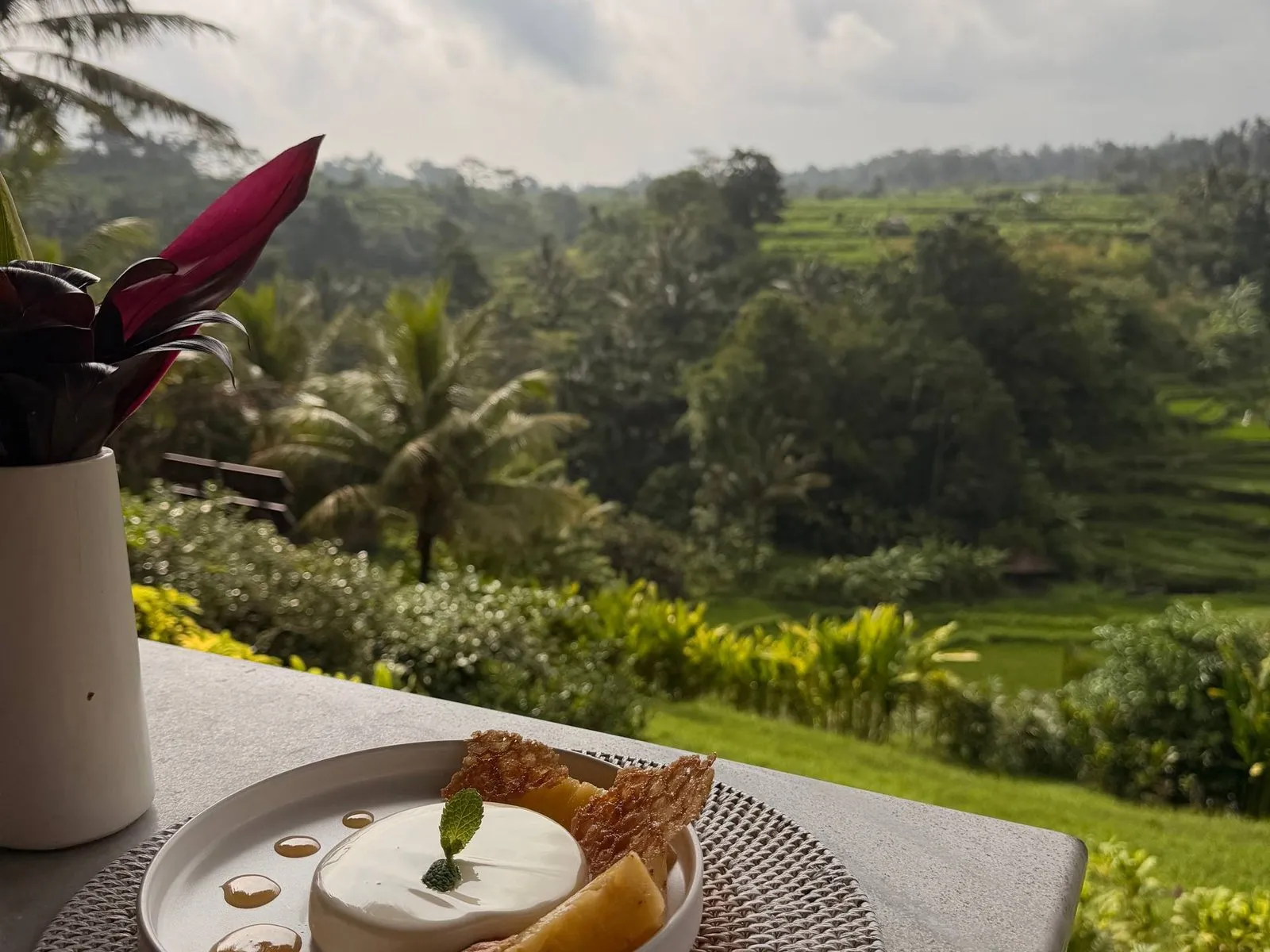A dessert plated at a cafe overlooking green rice terraces in Bali.